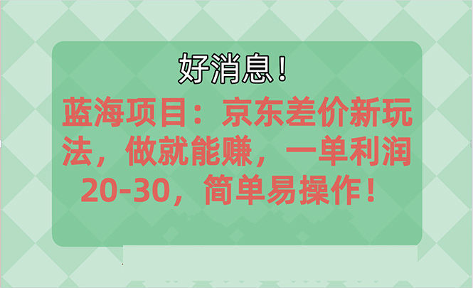 (10989期)越早知道越能赚到钱的蓝海项目:京东大平台操作,一单利润20-30,简单…-解忧云网络