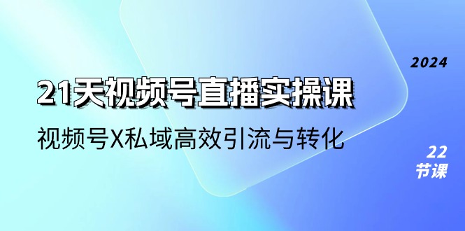 (10966期)21天-视频号直播实操课,视频号X私域高效引流与转化(22节课)-解忧云网络