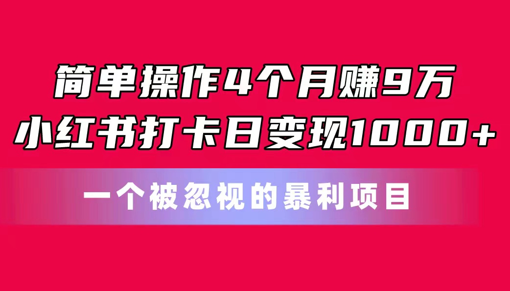 (11048期)简单操作4个月赚9万!小红书打卡日变现1000+!一个被忽视的暴力项目-解忧云网络