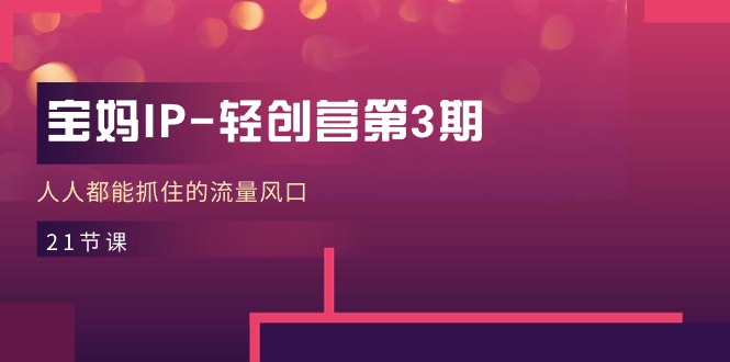 (11042期)宝妈IP-轻创营第3期,人人都能抓住的流量风口(21节课)-解忧云网络