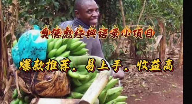 (11030期)奥德彪经典语录小项目,爆款推荐,易上手,收益高-解忧云网络