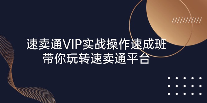 (10935期)速卖通 VIP实战操作-速成班,带你玩转速卖通平台(23节)-解忧云网络