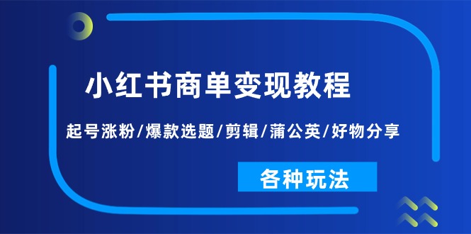 (11164期)小红书商单变现教程:起号涨粉/爆款选题/剪辑/蒲公英/好物分享/各种玩法-解忧云网络