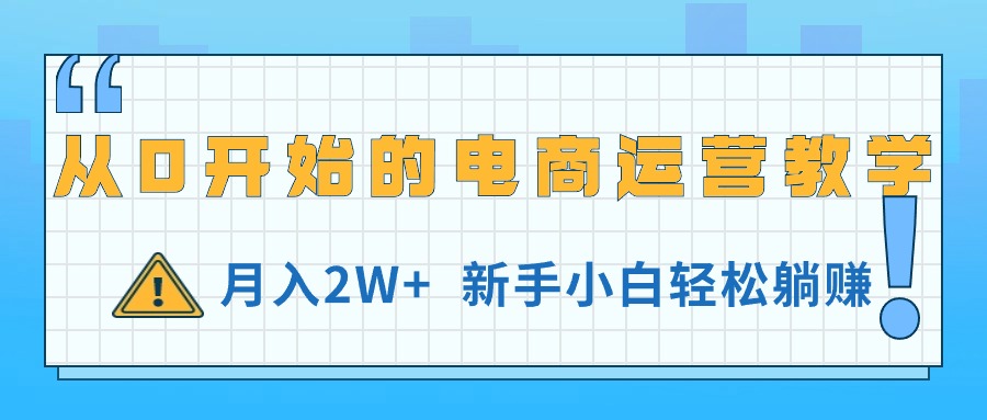(11081期)从0开始的电商运营教学,月入2W+,新手小白轻松躺赚-解忧云网络