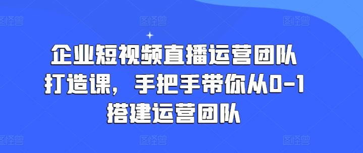企业短视频直播运营团队打造课,手把手带你从0-1搭建运营团队-解忧云网络