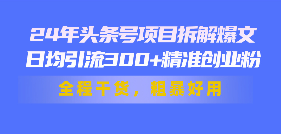 (11397期)24年头条号项目拆解爆文,日均引流300+精准创业粉,全程干货,粗暴好用-解忧云网络