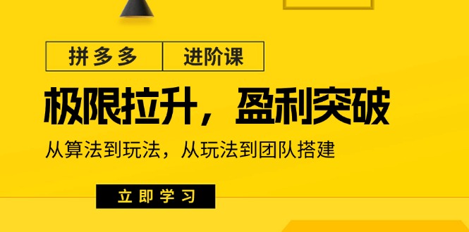 (11435期)拼多多·进阶课:极限拉升/盈利突破:从算法到玩法 从玩法到团队搭建-18节-解忧云网络
