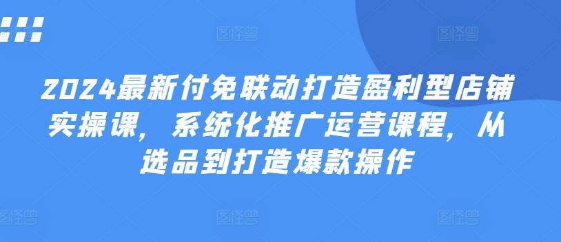 2024最新付免联动打造盈利型店铺实操课,系统化推广运营课程,从选品到打造爆款操作-解忧云网络