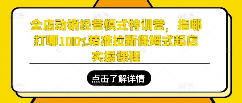 全店动销经营模式特训营,指哪打哪100%精准拉新保姆式起店实操课程-解忧云网络