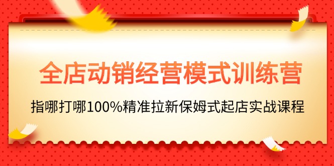 (11460期)全店动销-经营模式训练营,指哪打哪100%精准拉新保姆式起店实战课程-解忧云网络