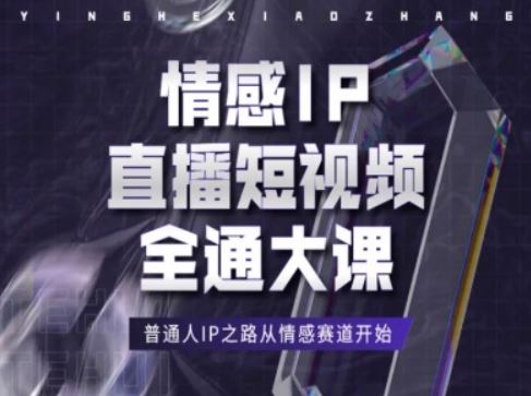 情感IP直播短视频全通大课,普通人IP之路从情感赛道开始-解忧云网络