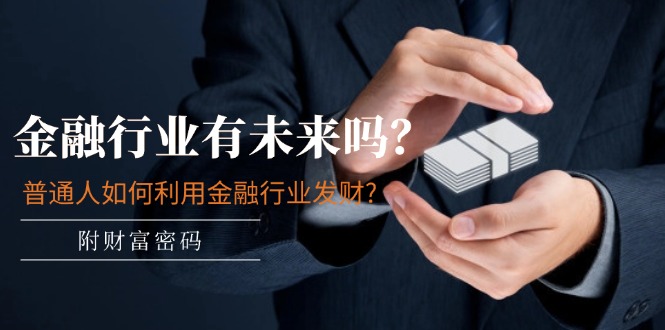 (11499期)某付费文章:金融行业有未来吗?普通人如何利用金融行业发财?(附财富密码)-解忧云网络