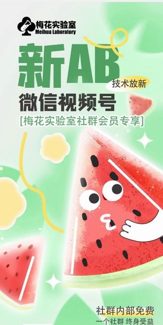 梅花实验室2024年AB技术视频号AB合成破解版-解忧云网络
