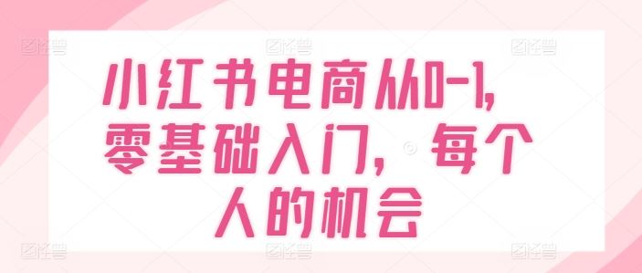小红书电商从0-1,零基础入门,每个人的机会-解忧云网络