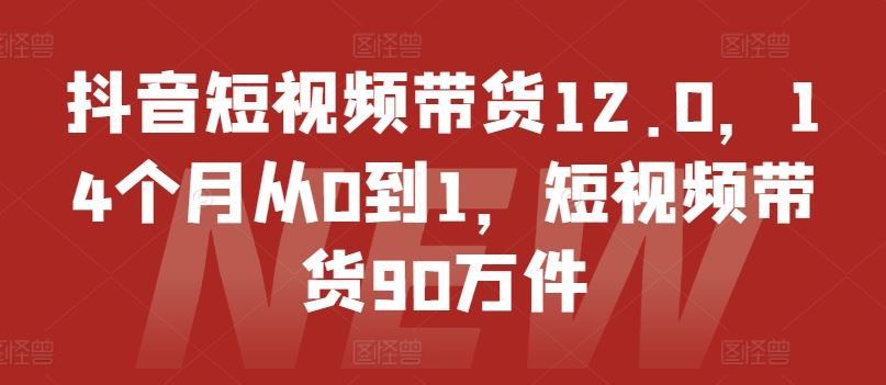 抖音短视频带货12.0,14个月从0到1,短视频带货90万件