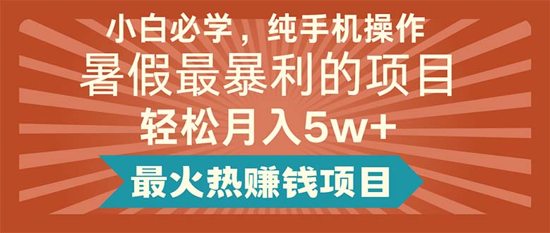 (11583期)小白必学,纯手机操作,暑假最暴利的项目轻松月入5w+最火热赚钱项目-解忧云网络