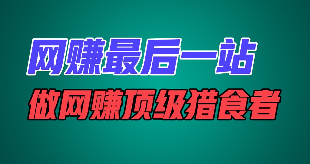 网赚最后一站,卖项目,做网赚顶级猎食者-解忧云网络