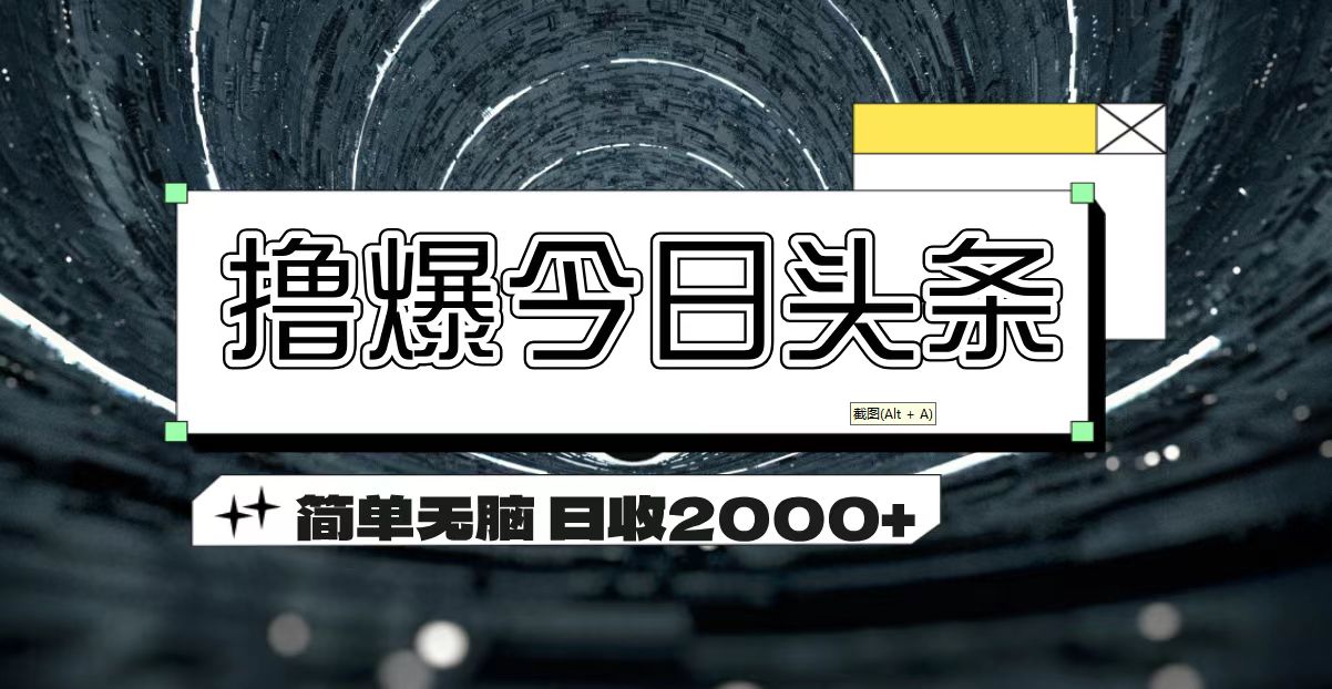 (11665期)撸爆今日头条 简单无脑操作 日收2000+-解忧云网络