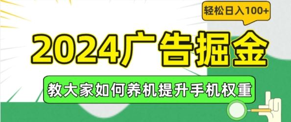 2024广告掘金,教大家如何养机提升手机权重,轻松日入100+【揭秘】-解忧云网络