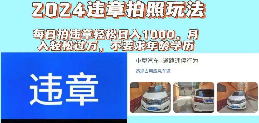 (11743期)2024违章拍照新玩法,推广躺赚+拍照赚钱双模式,日入1000+-解忧云网络