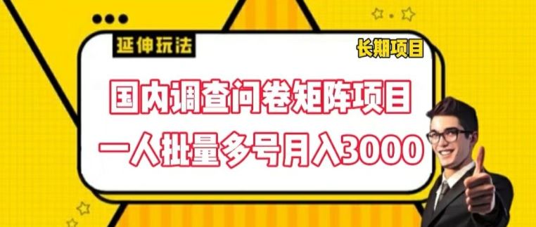 国内调查问卷矩阵项目,一人批量多号月入3000【揭秘】-解忧云网络
