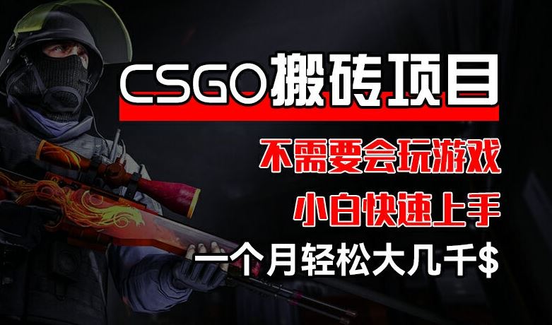 CSGO 装备搬砖项目,操作简单,不需要会玩游戏,小白也能快速上手,一个月轻松大几千【揭秘】-解忧云网络