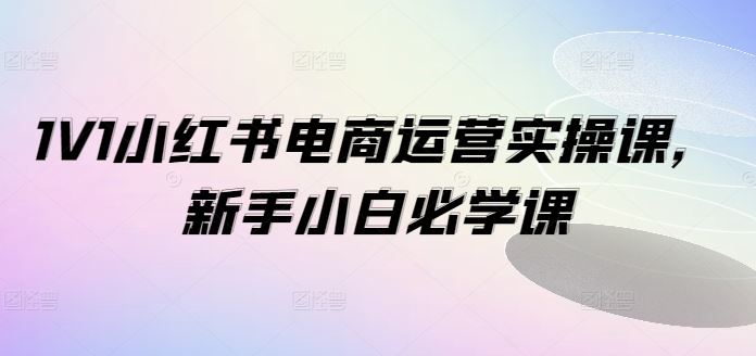1V1小红书电商运营实操课,新手小白必学课-解忧云网络