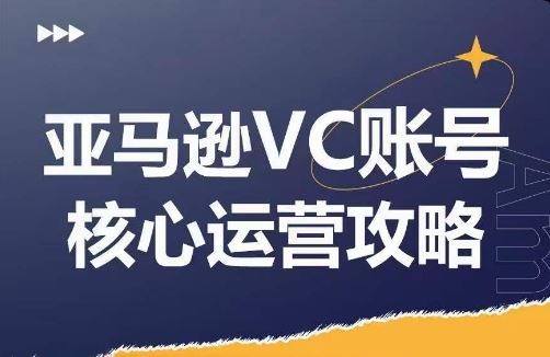 亚马逊VC账号核心玩法解析,实战经验拆解产品模块运营技巧,提升店铺GMV,有效提升运营利润-解忧云网络