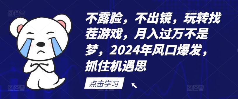 不露脸,不出镜,玩转找茬游戏,月入过万不是梦,2024年风口爆发,抓住机遇【揭秘】-解忧云网络