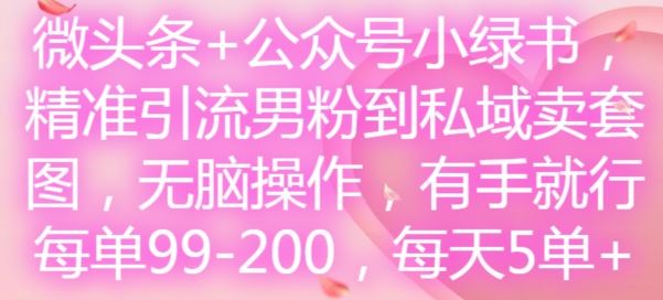 微头条+公众号小绿书,精准引流男粉到私域卖套图,无脑操作,有手就行,每单99-200,每天5单-解忧云网络