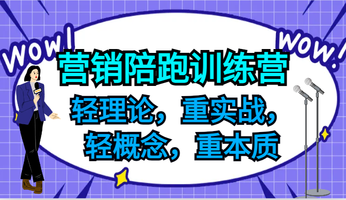 营销陪跑训练营,轻理论,重实战,轻概念,重本质,适合中小企业和初创企业的老板-解忧云网络