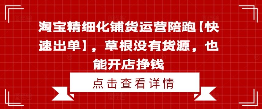 淘宝精细化铺货运营陪跑【快速出单】,草根没有货源,也能开店挣钱-解忧云网络