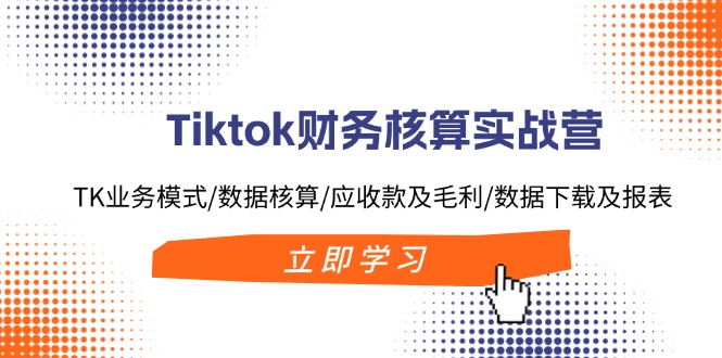 (11978期)Tiktok财务核算实战营:TK业务模式/数据核算/应收款及毛利/数据下载及报表-解忧云网络