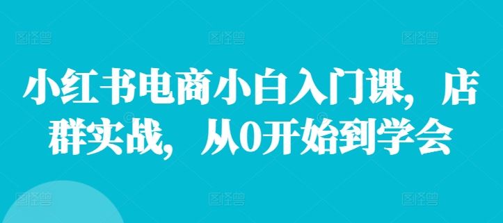 小红书电商小白入门课,店群实战,从0开始到学会-解忧云网络