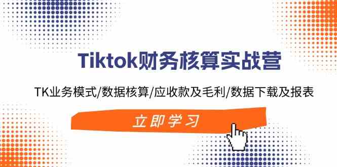 Tiktok财务核算实战营:TK业务模式/数据核算/应收款及毛利/数据下载及报表-解忧云网络