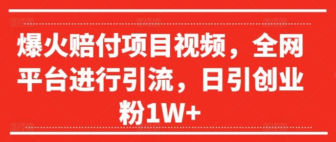 爆火赔付项目视频,全网平台进行引流,日引创业粉1W+【揭秘】-解忧云网络