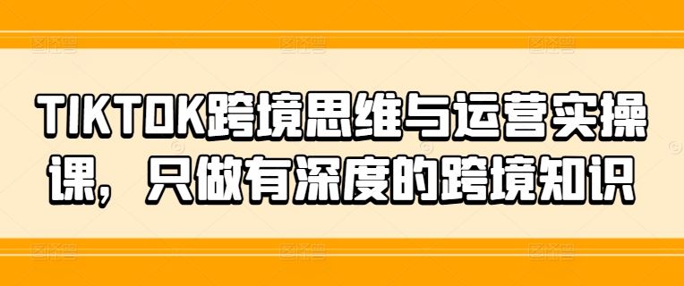 TIKTOK跨境思维与运营实操课,只做有深度的跨境知识-解忧云网络