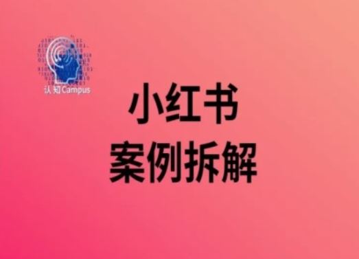 小红书案例拆解,深度解读小红书40万粉-解忧云网络