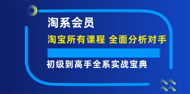 (12055期)淘系会员【淘宝所有课程,全面分析对手】,初级到高手全系实战宝典-解忧云网络