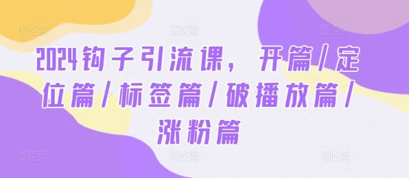 2024钩子引流课,开篇/定位篇/标签篇/破播放篇/涨粉篇