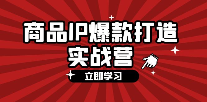 (12136期)商品-IP爆款打造实战营【第四期】,手把手教你打造商品IP,爆款 不断-解忧云网络