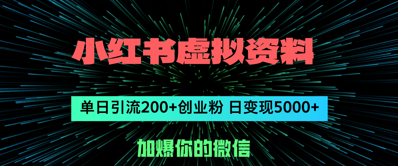 (12164期)小红书虚拟资料日引流200+创业粉,单日变现5000+-解忧云网络