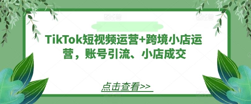 TikTok短视频运营+跨境小店运营,账号引流、小店成交-解忧云网络