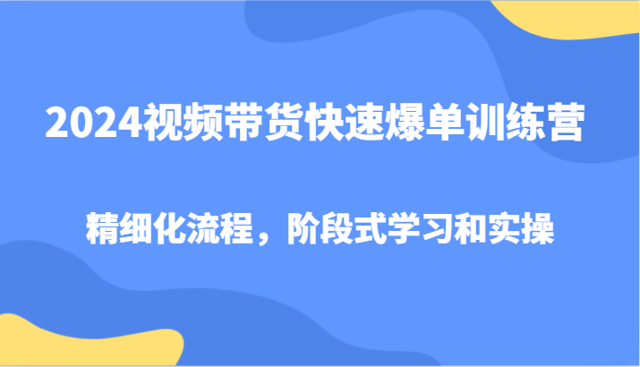 2024视频带货快速爆单训练营,精细化流程,阶段式学习和实操-解忧云网络