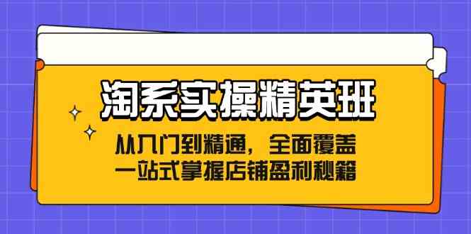 淘系实操精英班:从入门到精通,全面覆盖,一站式掌握店铺盈利秘籍-解忧云网络