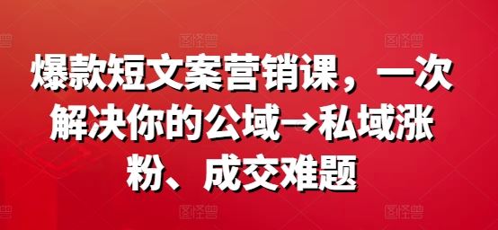 爆款短文案营销课,一次解决你的公域→私域涨粉、成交难题-解忧云网络
