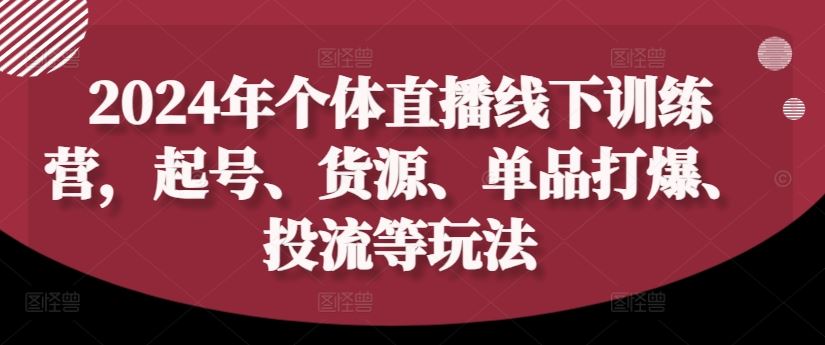2024年个体直播训练营,起号、货源、单品打爆、投流等玩法-解忧云网络