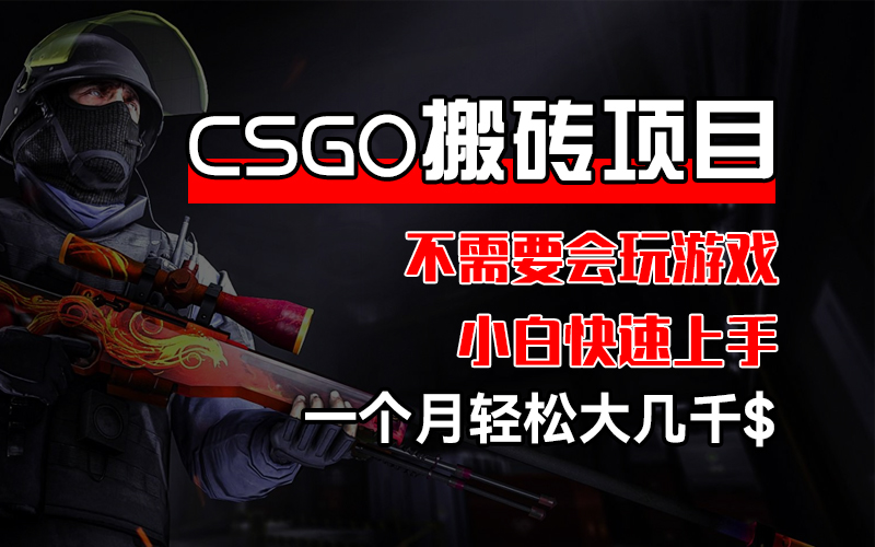 (12332期)CSGO 装备搬砖项目,操作简单,不需要会玩游戏,小白也能快速上手,一…-解忧云网络