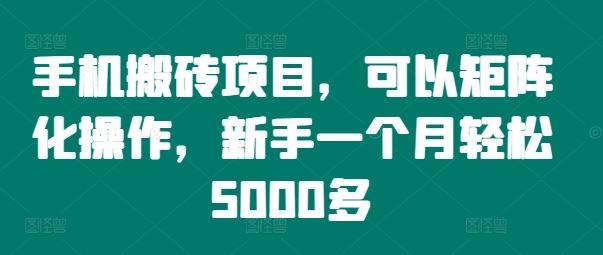 手机搬砖项目,可以矩阵化操作,新手一个月轻松5000多-解忧云网络