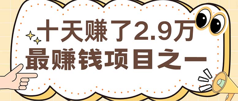 (12491期)闲鱼小红书赚钱项目之一,轻松月入6万+项目-解忧云网络